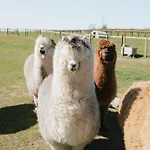 Water Hall Farm By Wigwam Holidays Holiday home